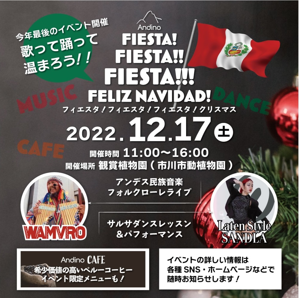 FIESTA!!!クリスマスのフライヤー