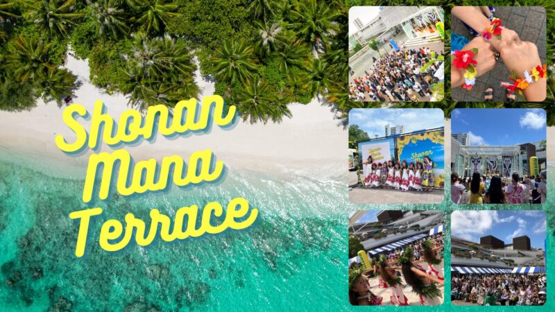湘南マナテラス（SHONAN MANA TERRACE）2026のフライヤー