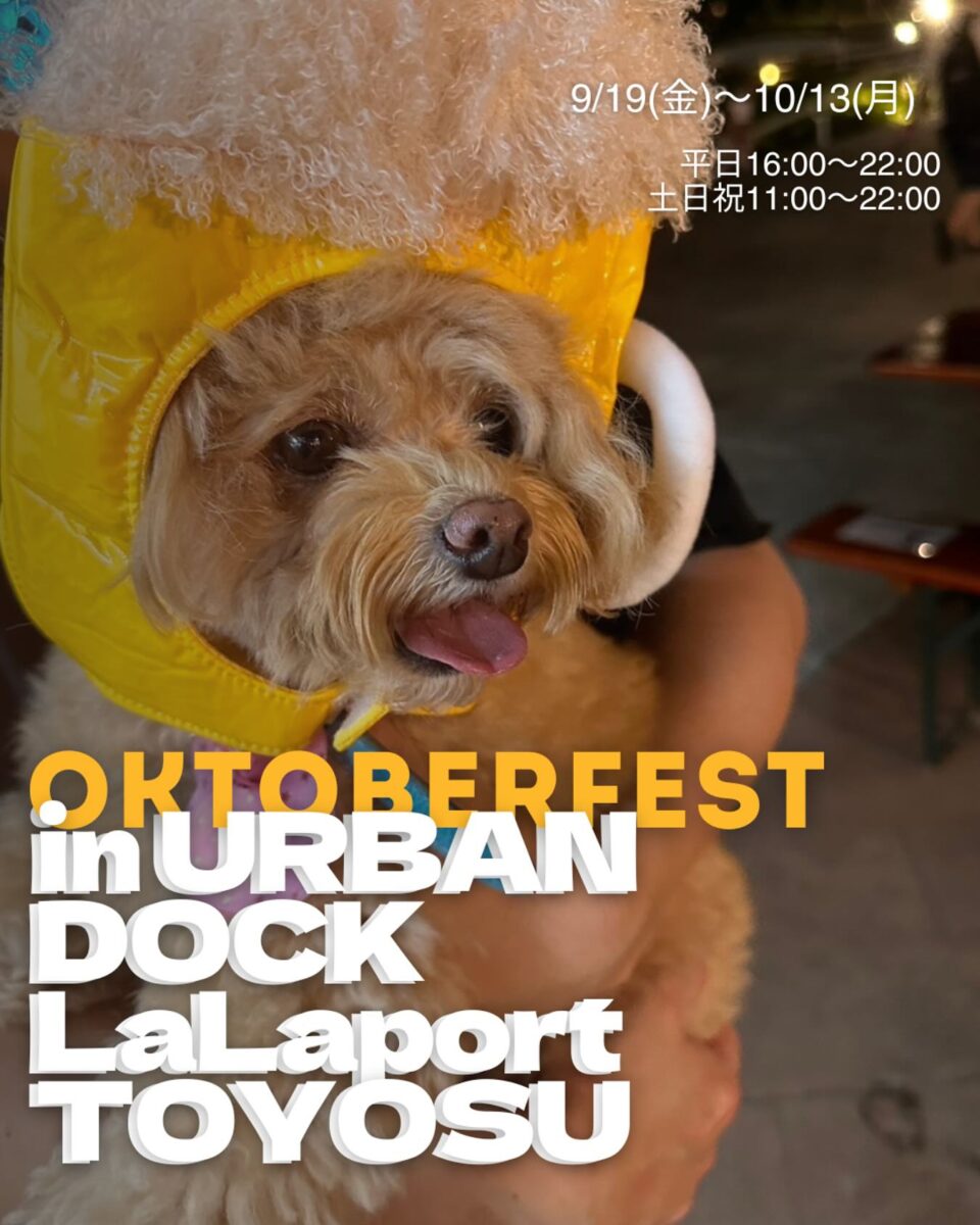 オクトーバーフェスト2025 in アーバンドック ららぽーと豊洲のフライヤー1